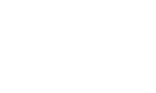 تورین وب